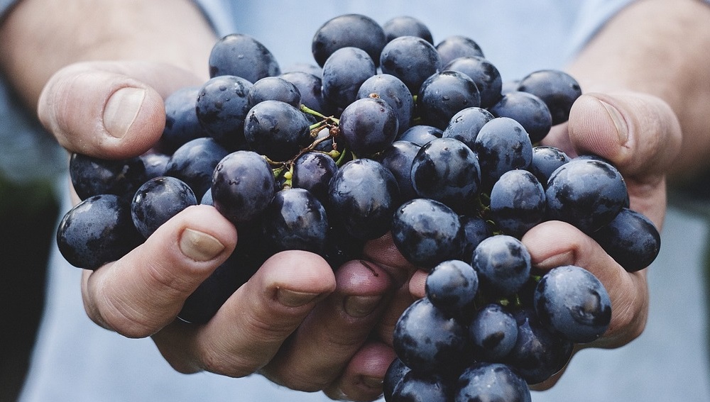 5 Health Benefits of Wine Backed By Research